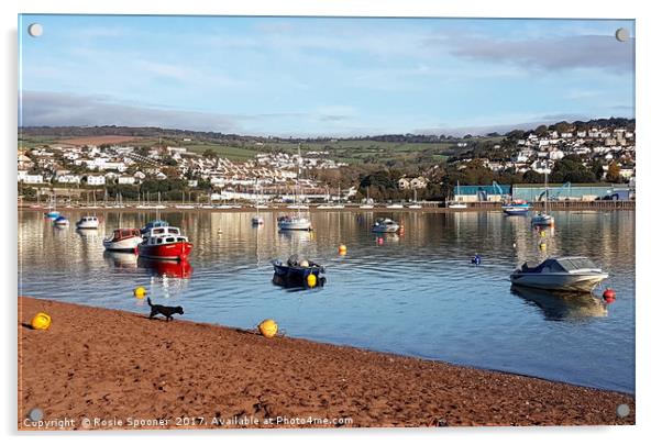 Bright sunny morning on the River Teign at Shaldon Acrylic by Rosie Spooner