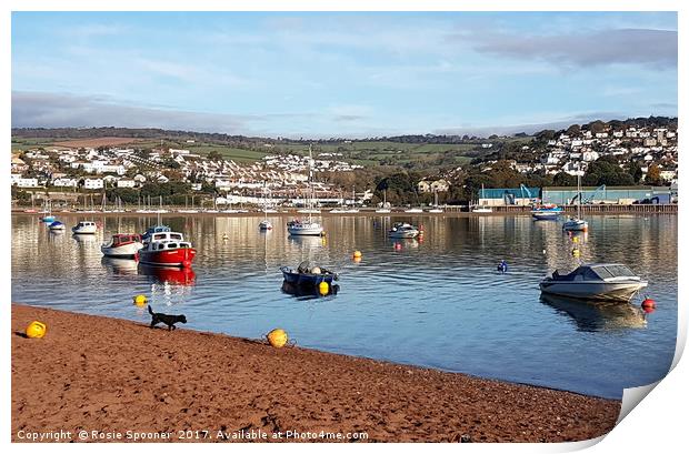Bright sunny morning on the River Teign at Shaldon Print by Rosie Spooner