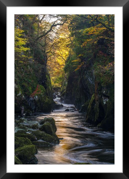 The Fairy Glen Framed Mounted Print by Clive Ashton