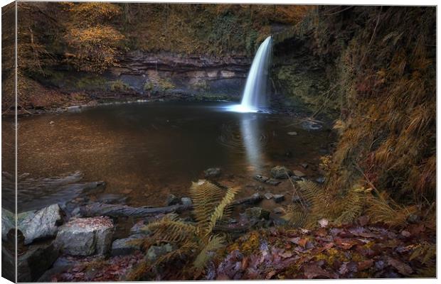 Sgwd Gwladus waterfall Pontneddfechan Canvas Print by Leighton Collins