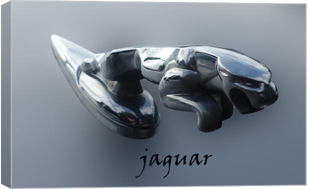               Jaguar mascot                  Canvas Print by Anthony Kellaway