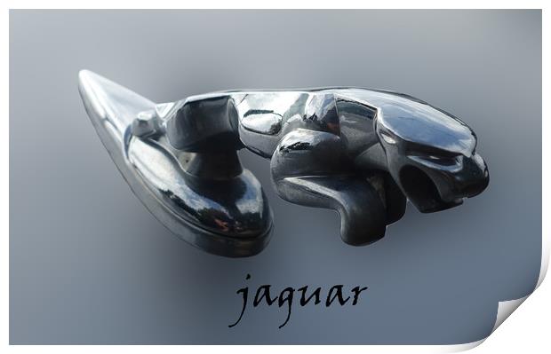              Jaguar mascot                  Print by Anthony Kellaway
