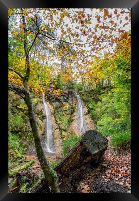 Grey Mares Tail Waterfall Llanrwst  Framed Print by Adrian Evans