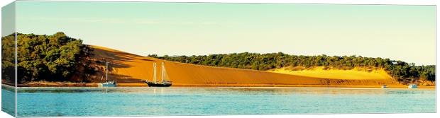 Yellow Patch Curtis Island Queensland Canvas Print by Geoff Childs