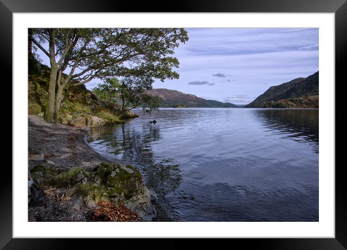 On the Shore of Ullswater Framed Mounted Print by Jacqi Elmslie
