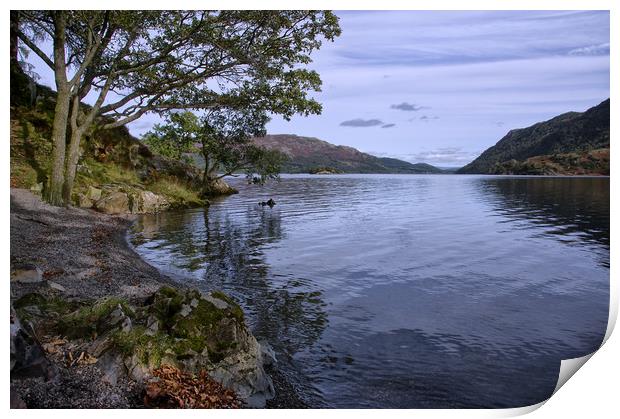 On the Shore of Ullswater Print by Jacqi Elmslie