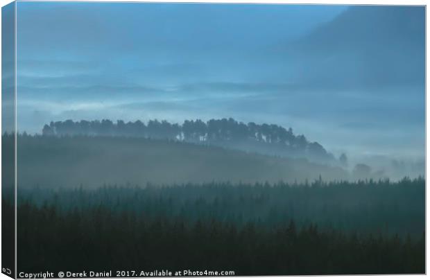 Feshiebridge Forest, Cairngorms Canvas Print by Derek Daniel