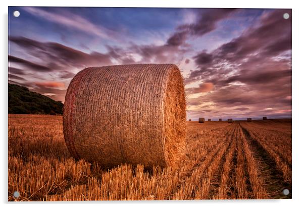 Hay Bales  Acrylic by Angela H