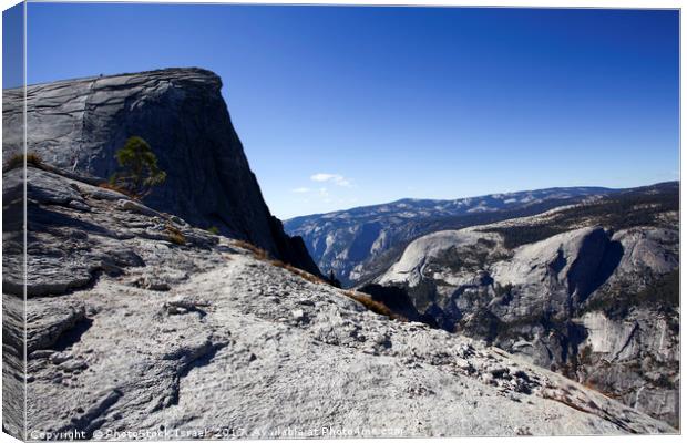 Half Dome rock at Yosemite national Park Canvas Print by PhotoStock Israel