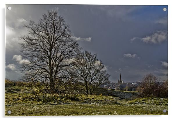 Winter Scene over Norwich Acrylic by Paul Macro