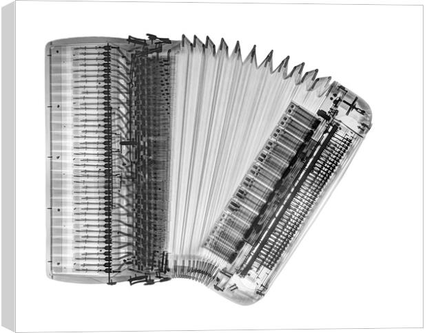 X-ray of an Accordion Canvas Print by PhotoStock Israel
