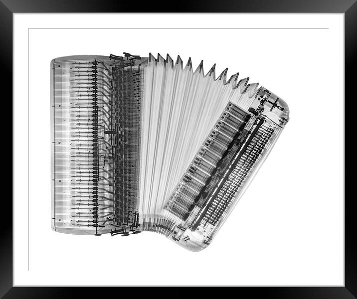 X-ray of an Accordion Framed Mounted Print by PhotoStock Israel