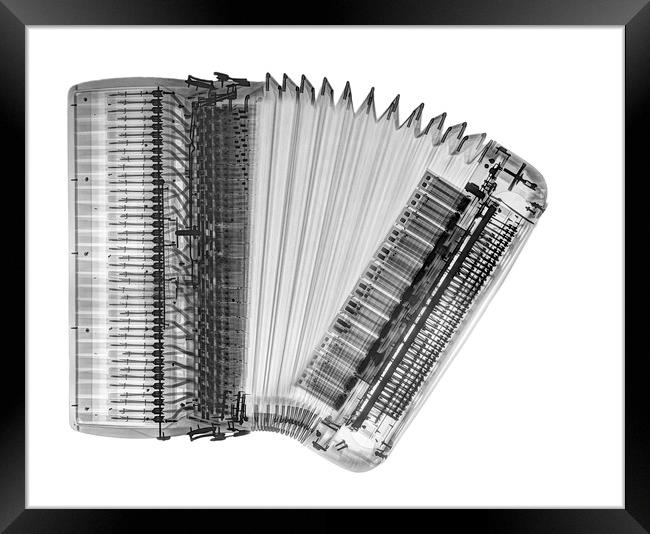X-ray of an Accordion Framed Print by PhotoStock Israel