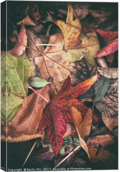 Autumn Leaves. Canvas Print by Becky Dix