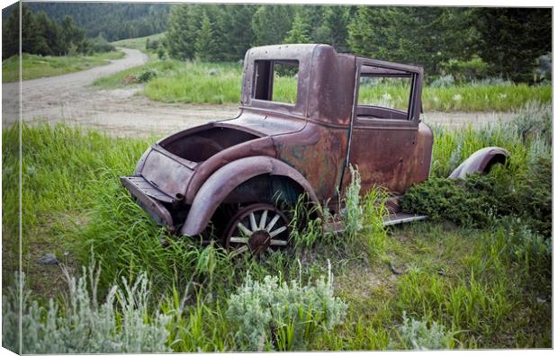 Rusting Away Canvas Print by Luc Novovitch