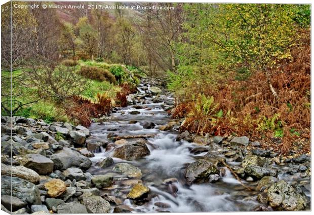 Lake District Autumn Stream Canvas Print by Martyn Arnold