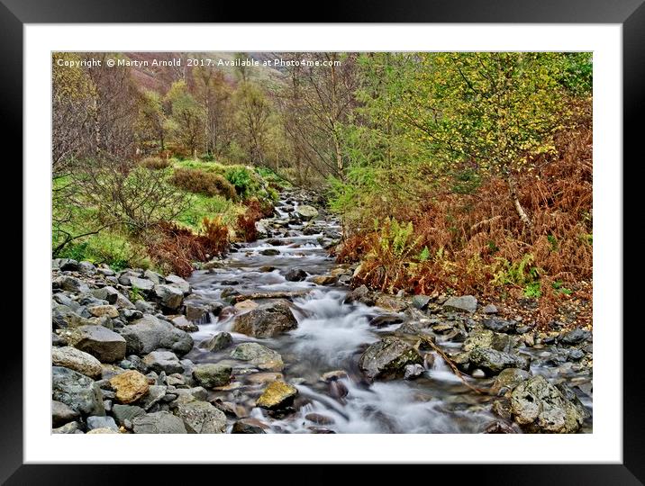 Lake District Autumn Stream Framed Mounted Print by Martyn Arnold
