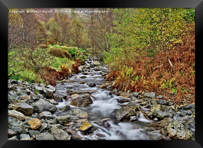 Lake District Autumn Stream Framed Print by Martyn Arnold