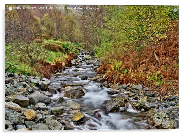 Lake District Autumn Stream Acrylic by Martyn Arnold