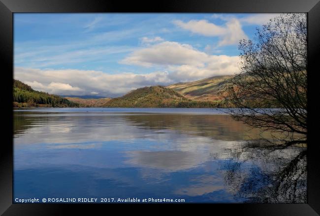 "Evening light and reflections on the lake 2" Framed Print by ROS RIDLEY