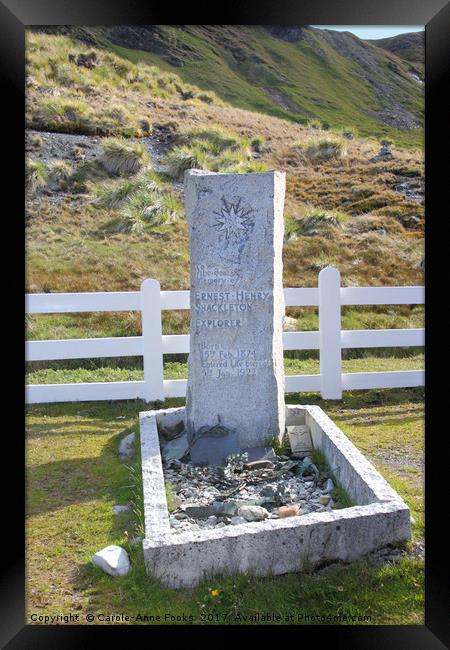 A Hero's Grave, South Georgia Framed Print by Carole-Anne Fooks