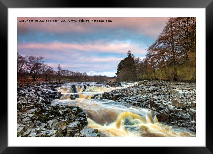 Low Force Upper Falls, River Tees, Teesdale Framed Mounted Print by David Forster