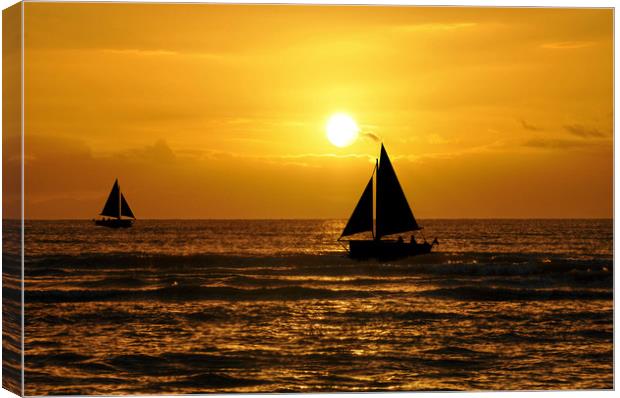 silhouettes in the sunset Canvas Print by sue davies
