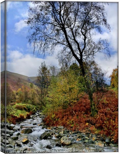 "Tree at Mountain Stream" Canvas Print by ROS RIDLEY