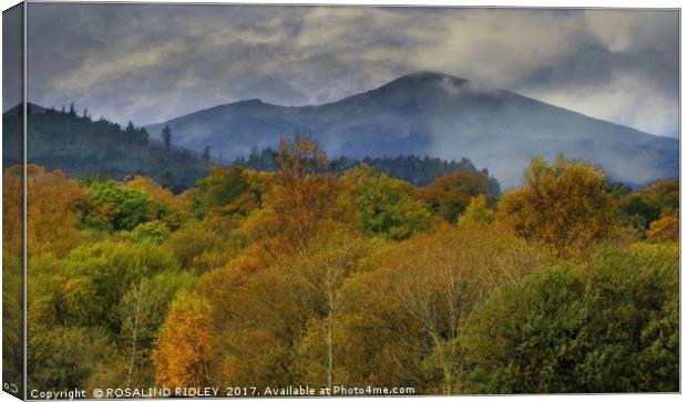 "Autumn mists at Keswick" Canvas Print by ROS RIDLEY