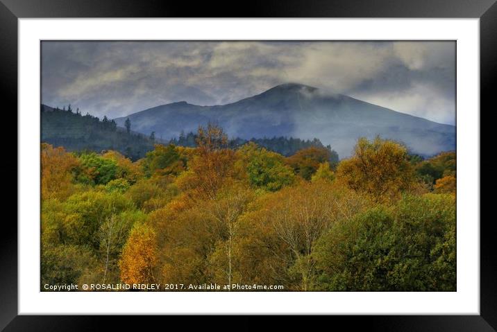 "Autumn mists at Keswick" Framed Mounted Print by ROS RIDLEY