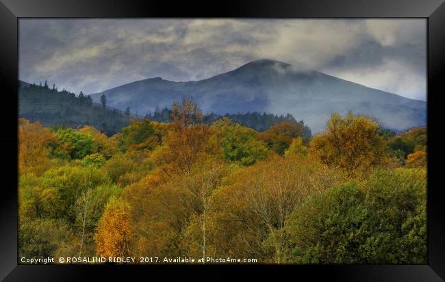 "Autumn mists at Keswick" Framed Print by ROS RIDLEY