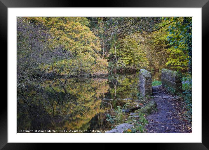 Wolfs Wheel Autumnal Reflections Framed Mounted Print by Angie Morton