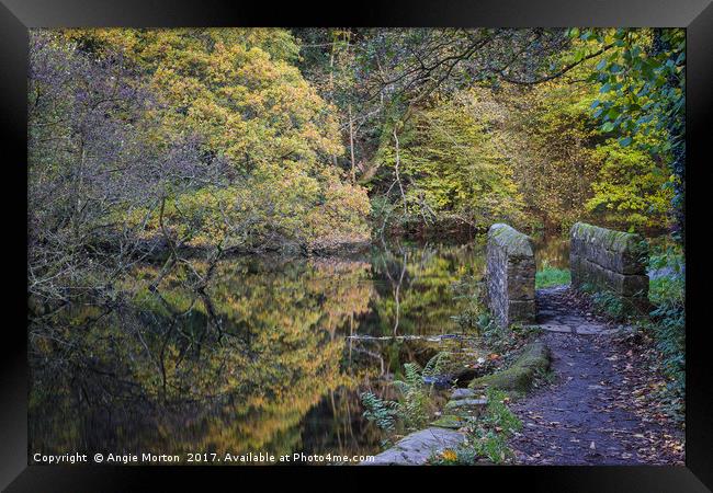 Wolfs Wheel Autumnal Reflections Framed Print by Angie Morton