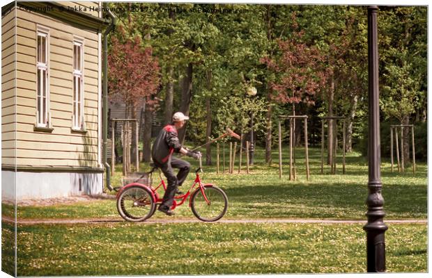 Park Worker Riding a Bike with a Rake Canvas Print by Jukka Heinovirta
