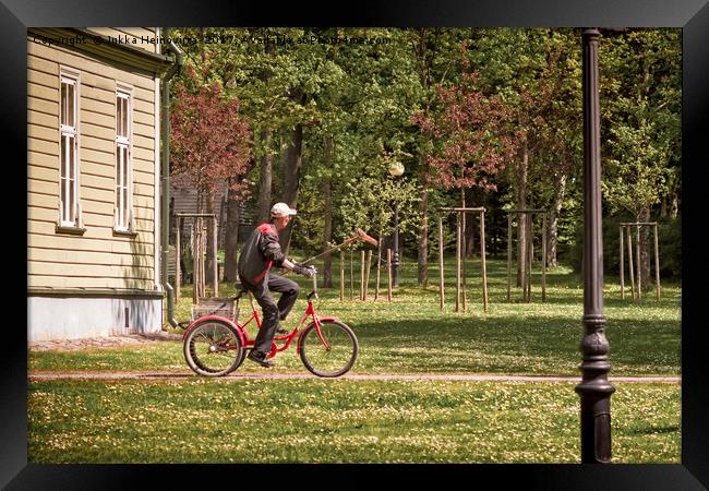 Park Worker Riding a Bike with a Rake Framed Print by Jukka Heinovirta