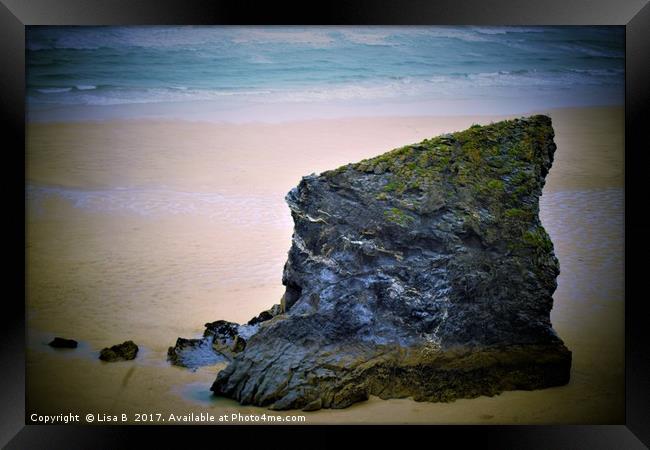 Beach Rock Framed Print by Lisa PB