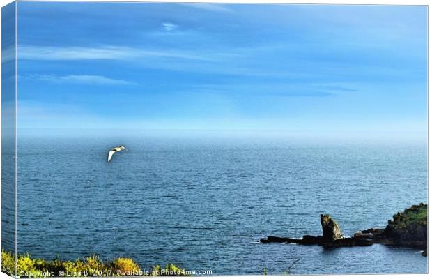 Peaceful at The Lizard, Cornwall Canvas Print by Lisa PB