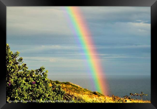 Rainbow Framed Print by Lisa PB