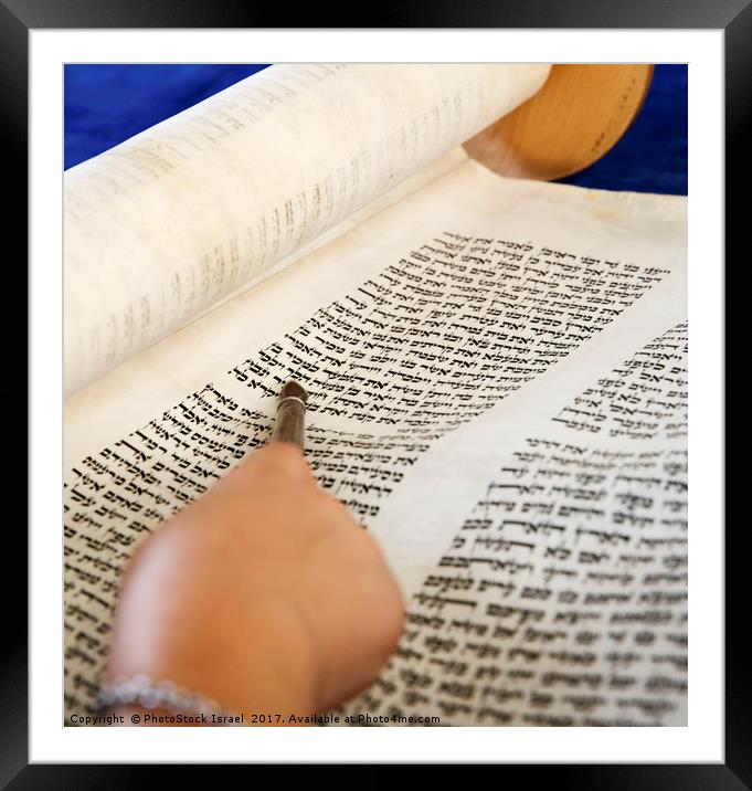 Reading the Torah scrolls Framed Mounted Print by PhotoStock Israel