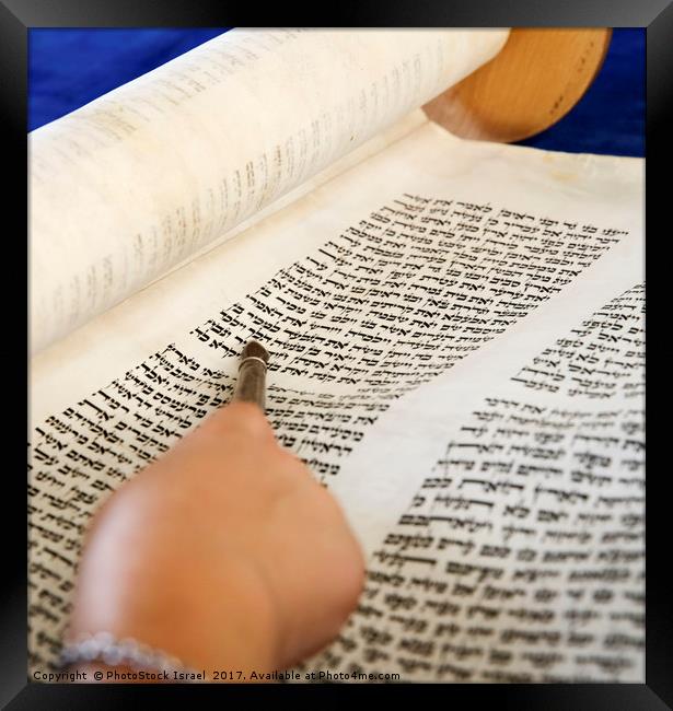 Reading the Torah scrolls Framed Print by PhotoStock Israel