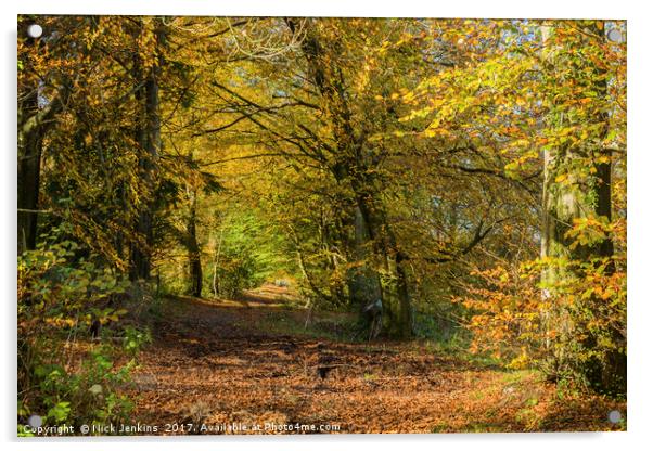 Wentwood Forest on sunny autumn day Monmouthshire Acrylic by Nick Jenkins