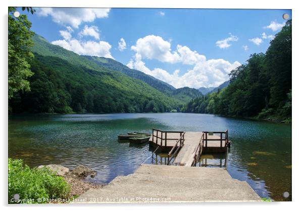 Biogradska Gora forest  Acrylic by PhotoStock Israel