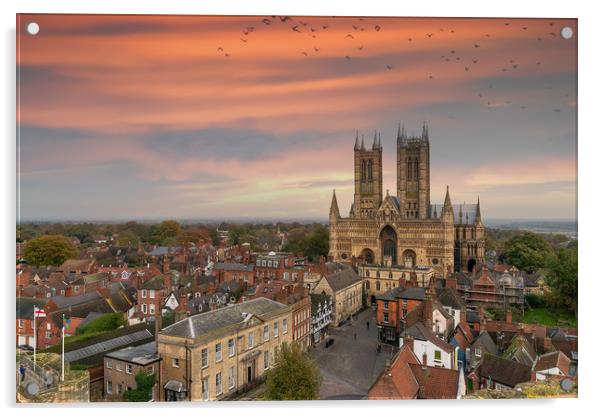 Lincoln Cathedral as sun is setting Acrylic by Andrew Scott