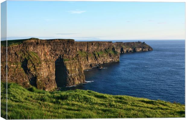 Cliffs of Moher, County Clare, Ireland  Canvas Print by Aidan Moran