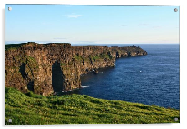 Cliffs of Moher, County Clare, Ireland  Acrylic by Aidan Moran