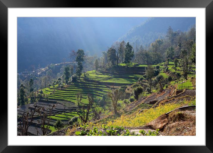 Himalayan Stepped Fields, Nepal  Framed Mounted Print by Aidan Moran