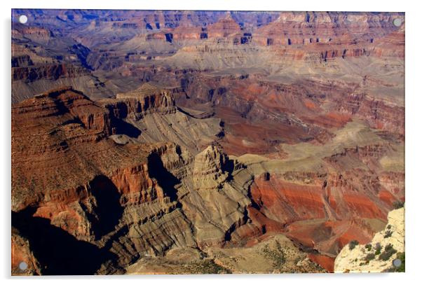 The Grand Canyon, State Of Arizona  Acrylic by Aidan Moran