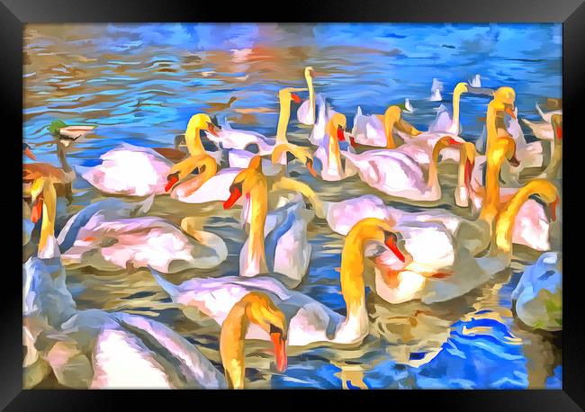 Swans Pop Art Framed Print by David Pyatt