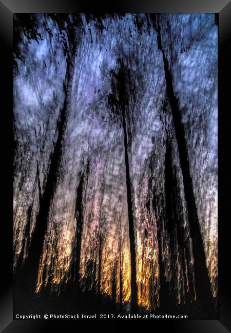 Motion blurred trees in a forest Framed Print by PhotoStock Israel