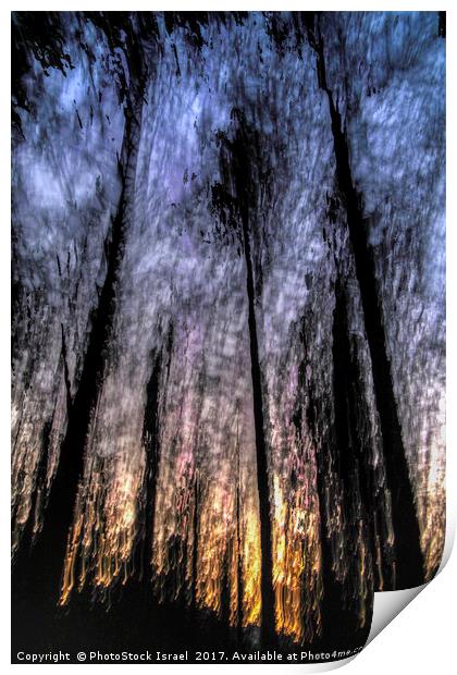 Motion blurred trees in a forest Print by PhotoStock Israel